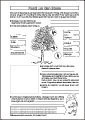 AB 9 – Rund um den Baum AB 9 – Rund um den Baum