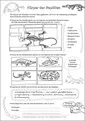AB 9 – Körper der Reptilien